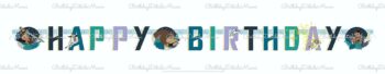 BalloonyFly Raya,  ship today, banners, birthday, tableware, birthday party, decorations, gift,supplies,cups,spoons,forks,party supplies, theme. Disney